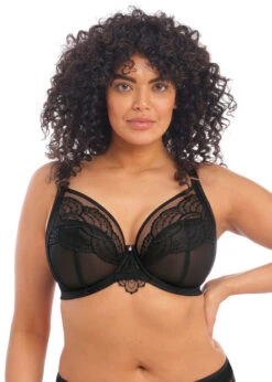 ELOMI Soutien-gorge Armatures Priya Noir -Sousvêtement Soldes EL4550 BLK primary Elomi Lingerie Priya Black Underwired Plunge Bra 1