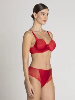 Culotte Haute En Soie Splendeur Soie Rouge 11 Culotte Haute En Soie Splendeur Soie Rouge -Sousvêtement Soldes culotte haute lise charmel splendeur soie rouge lise charmel1