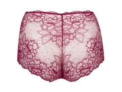 Shorty Sublime En Dentelle Fuchsia Sublime 7 Shorty Sublime En Dentelle Fuchsia Sublime -Sousvêtement Soldes shorty lise charmel sublime en dentelle fuchsia sublime 1