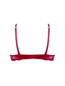Soutien-gorge Coques Splendeur Soie Rouge -Sousvêtement Soldes soutien gorge coque lise charmel splendeur soie rouge paris1