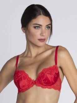 Soutien-gorge Coques Splendeur Soie Rouge -Sousvêtement Soldes soutien gorge coque lise charmel splendeur soie rouge paris2
