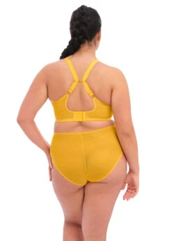Sousvêtement Soldes -Sousvêtement Soldes soutien gorge elomi grande taille matilda daisy1 1