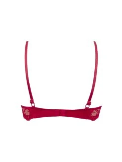 Soutien-gorge Glam Splendeur Soie Rouge -Sousvêtement Soldes soutien gorge glam lise charmel splendeur soie rouge paris