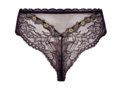 Tanga Dentelle Cashmer -Sousvêtement Soldes tanga lise charmel dentelle cashmer paris1